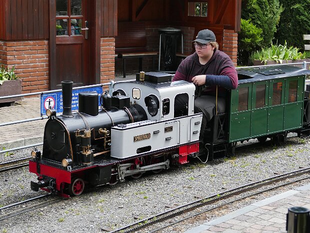 Trip Swiss Vapeur 2024