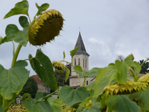 14) Wanderung Donnerstag